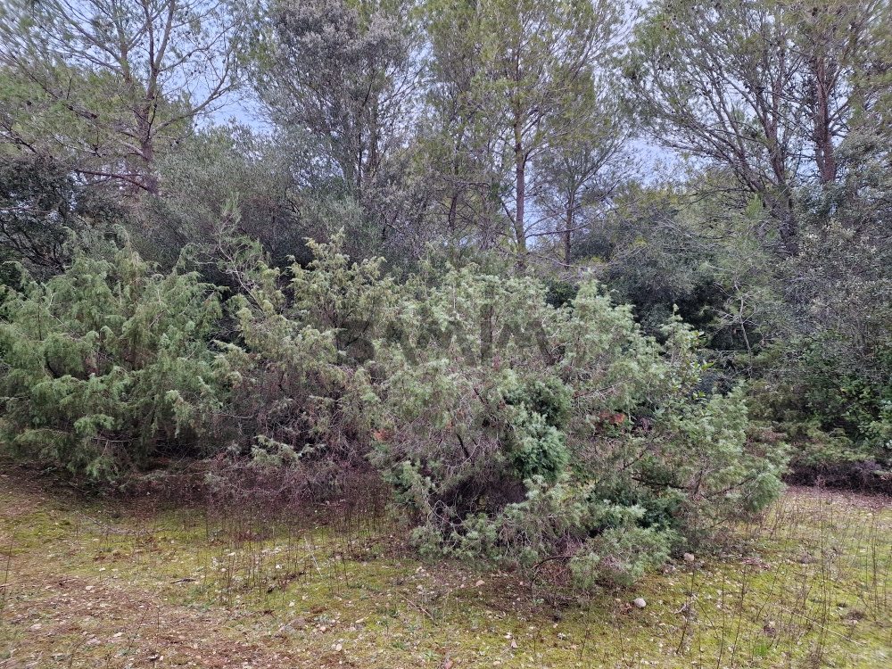 Agence immobilière de SAMIM 