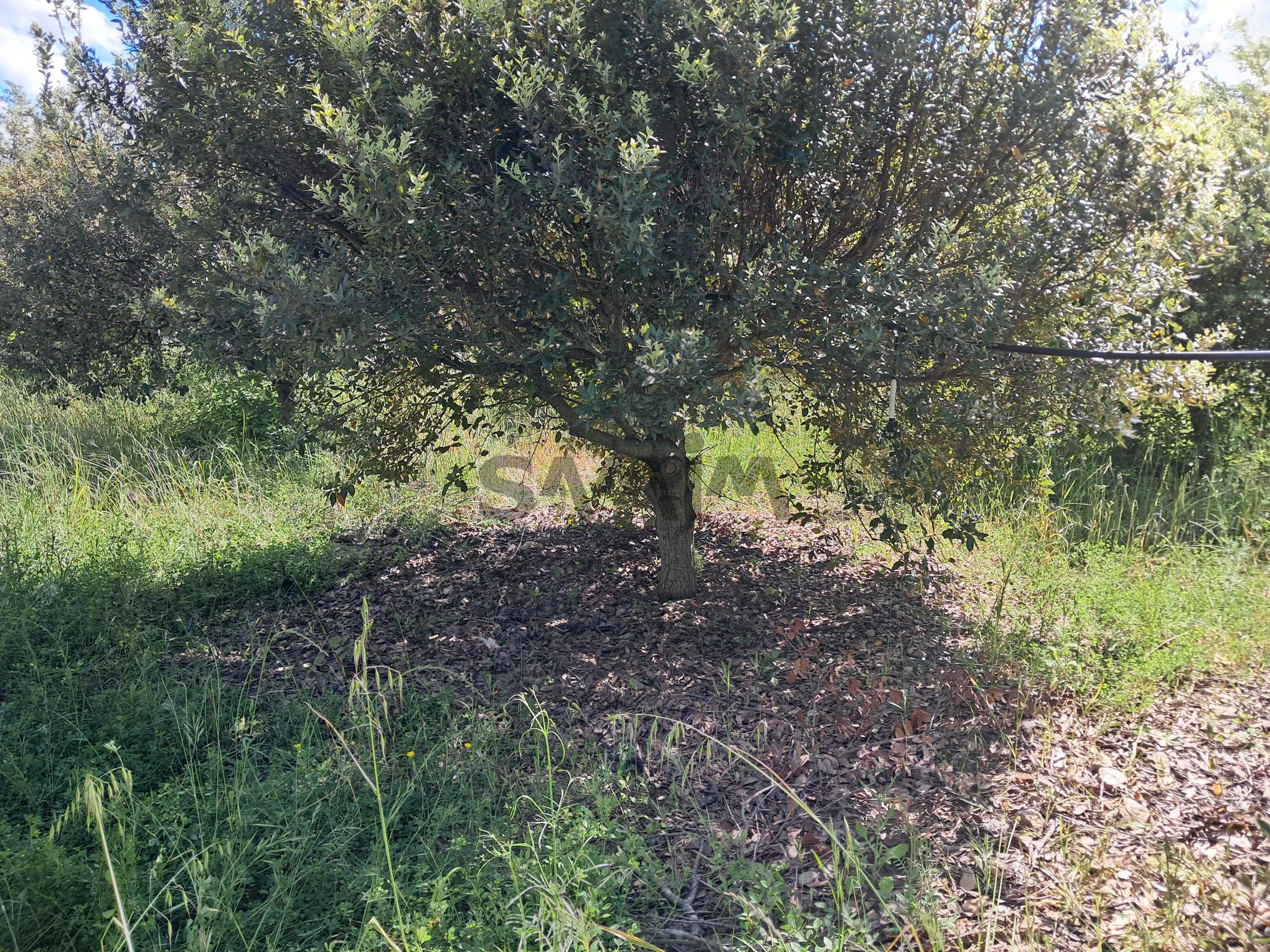 Troisième photo