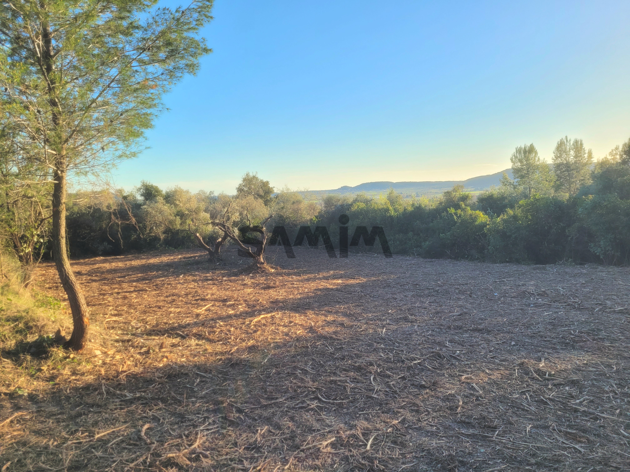 Agence immobilière de SAMIM 