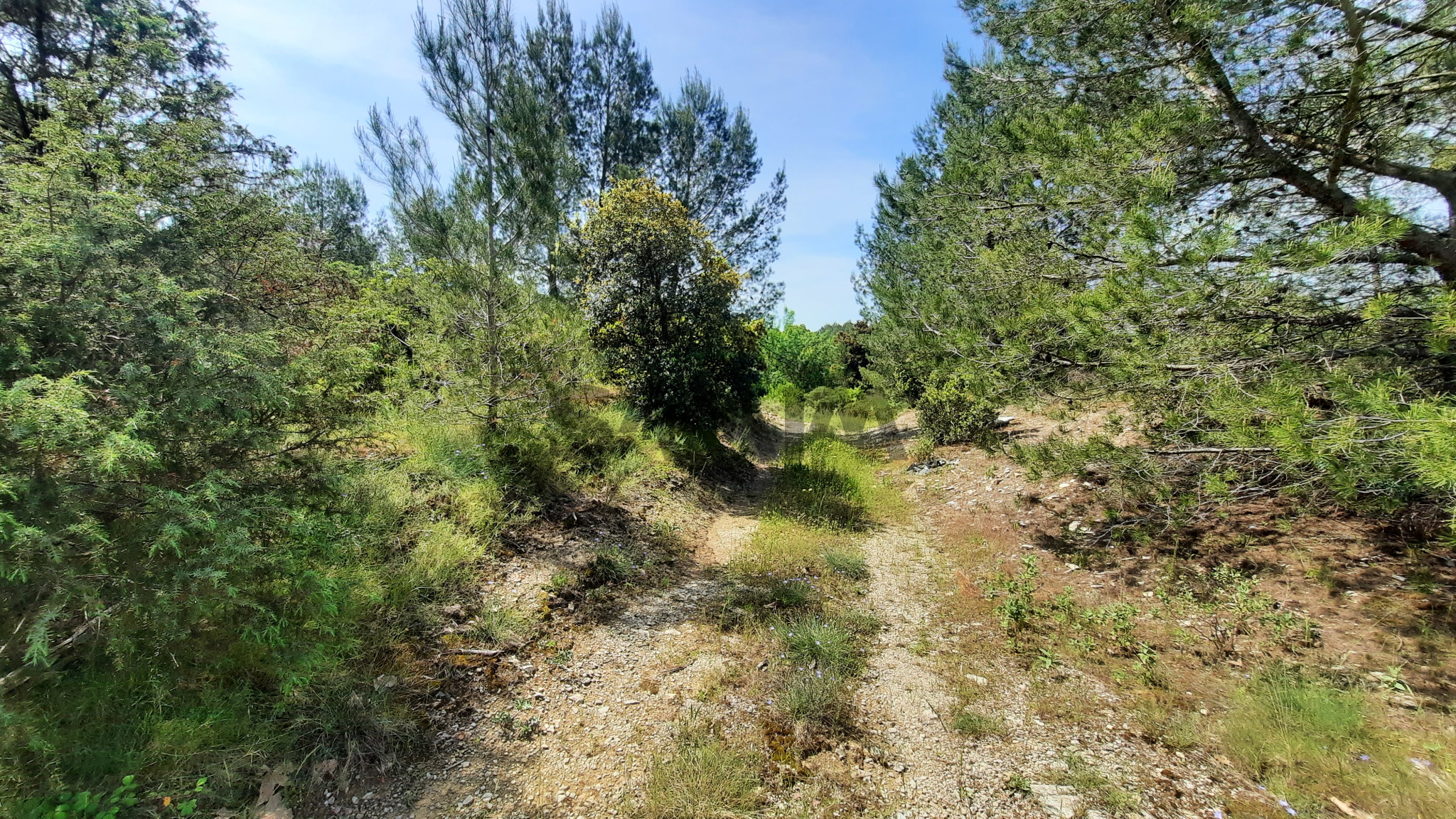 Agence immobilière de SAMIM 